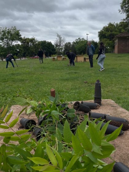 🌱 Ação em prol do meio ambiente!