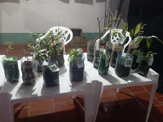 Alunos das escolas municipais João Gonçalves Vieira e Euclydes Kliemann participaram da final do programa Educando para o Campo 2025