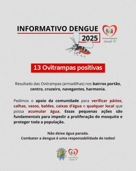 Informativo sobre a Dengue!