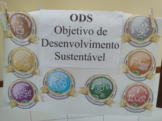 Salto do Jacuí sediará encontro entre municípios vizinhos que participam de projeto Verde é Vida, da Afubra.